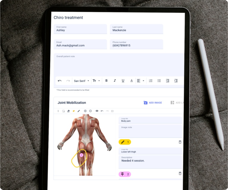 Visual anatomical charting