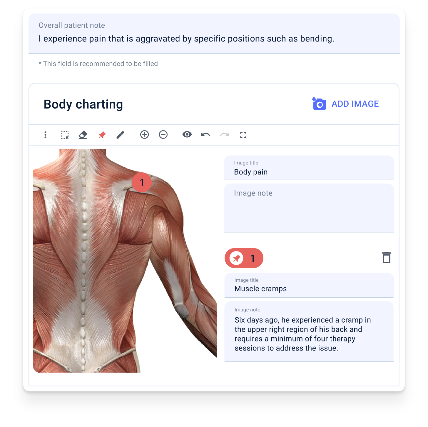 Chiropractor